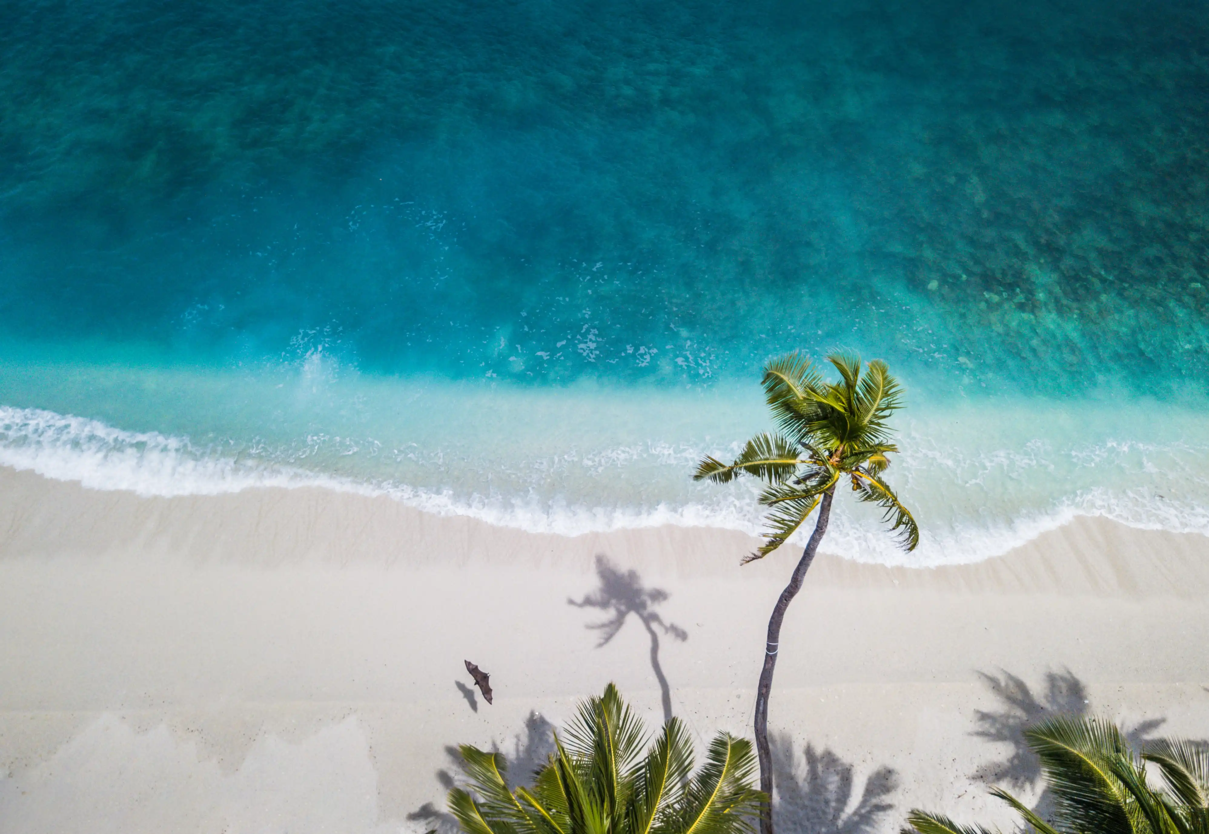 Background of a beach